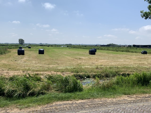 Zomer in Jisp